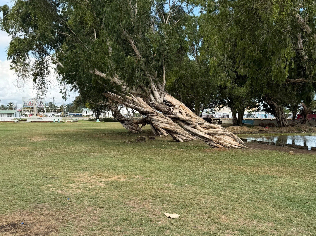 Guyana National Park-乔治城必去景点