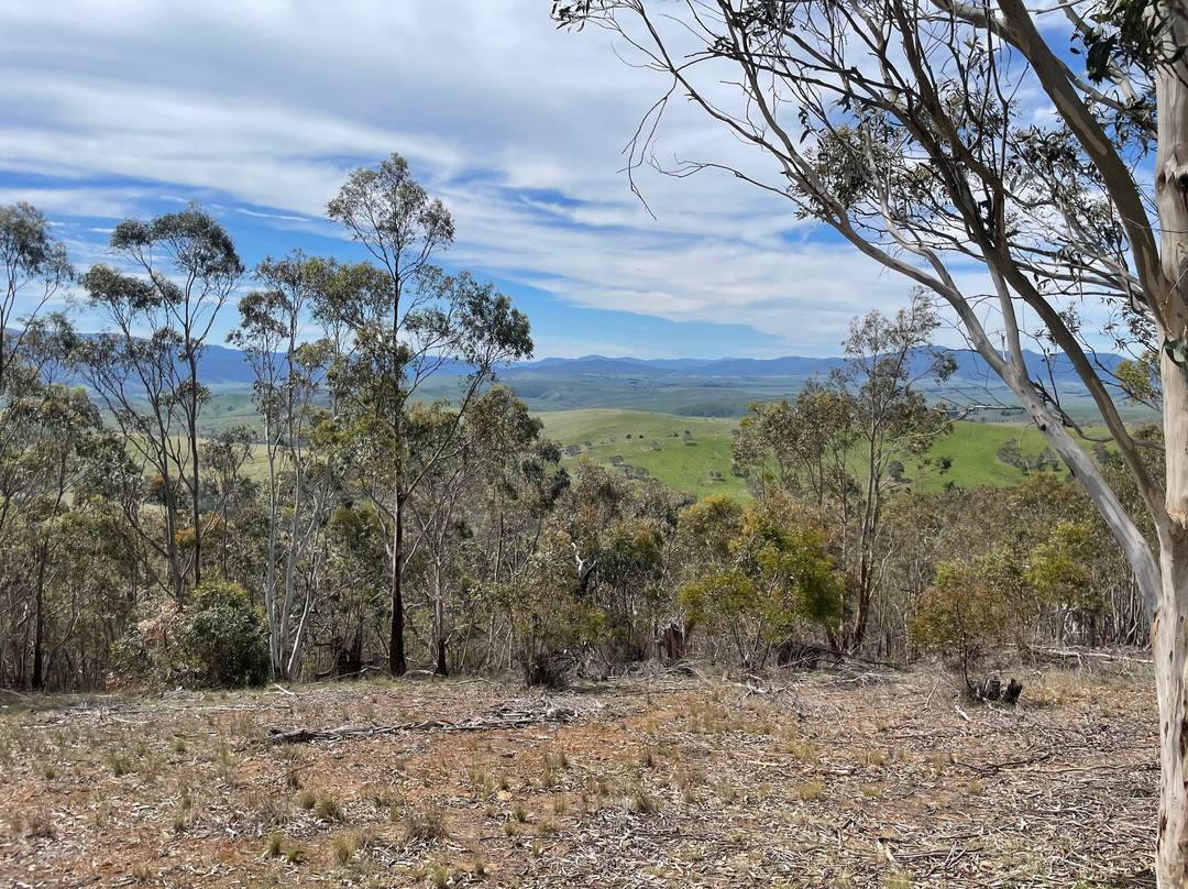 McMillan Lookout-Omeo必去景点