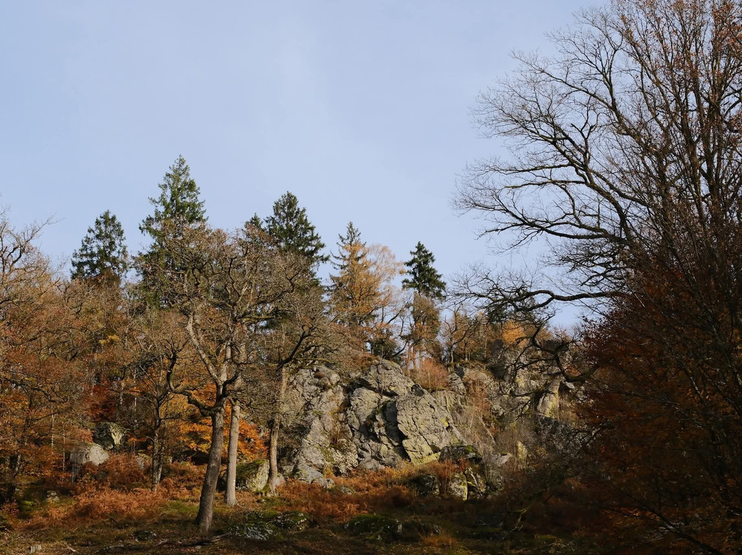 Reserve Naturelle de la Roche a l'Appel-Florenville必去景点