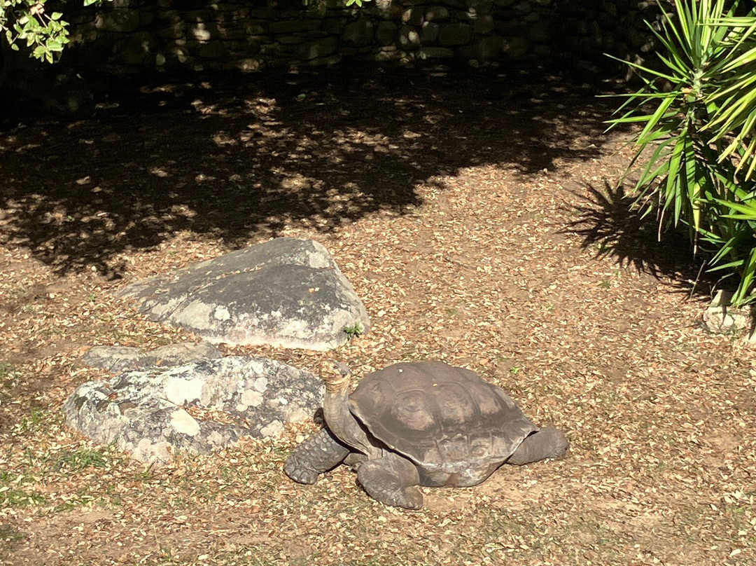 A Cupulatta-Ucciani必去景点