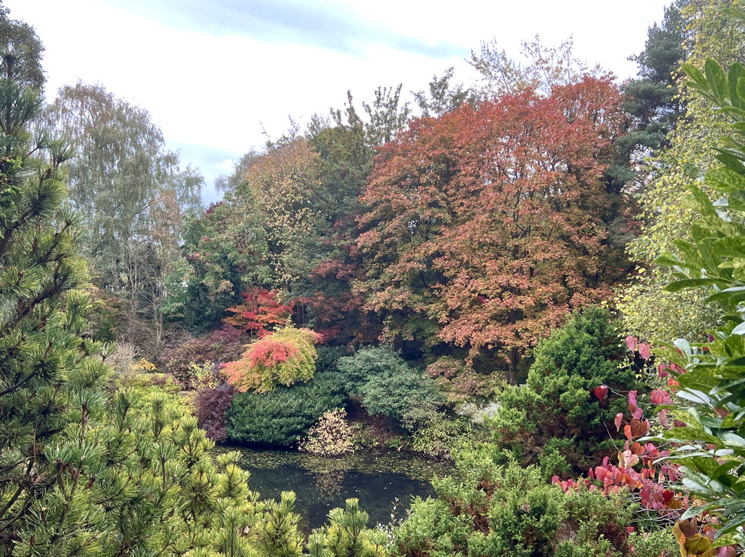 Dingle Nursery And Garden-Welshpool必去景点