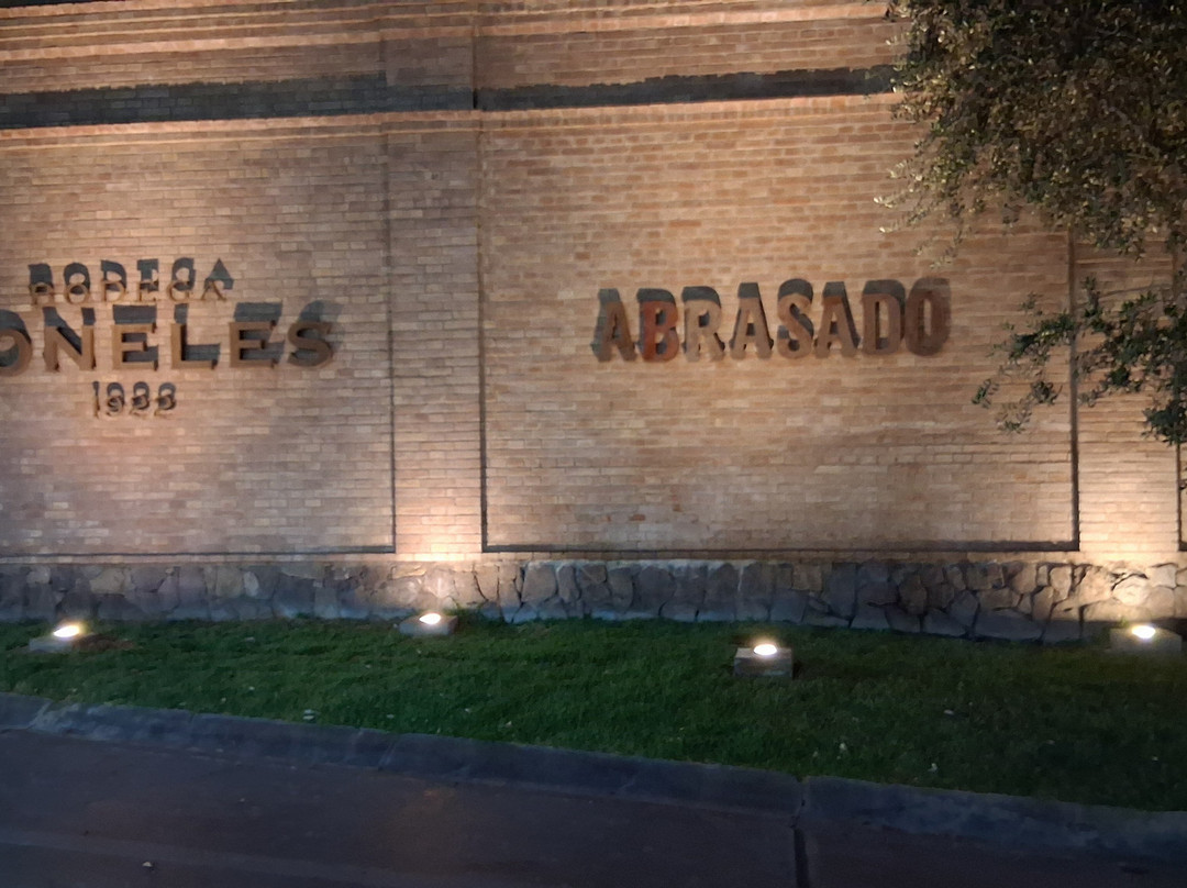 Bodega Los Toneles-门多萨必去景点