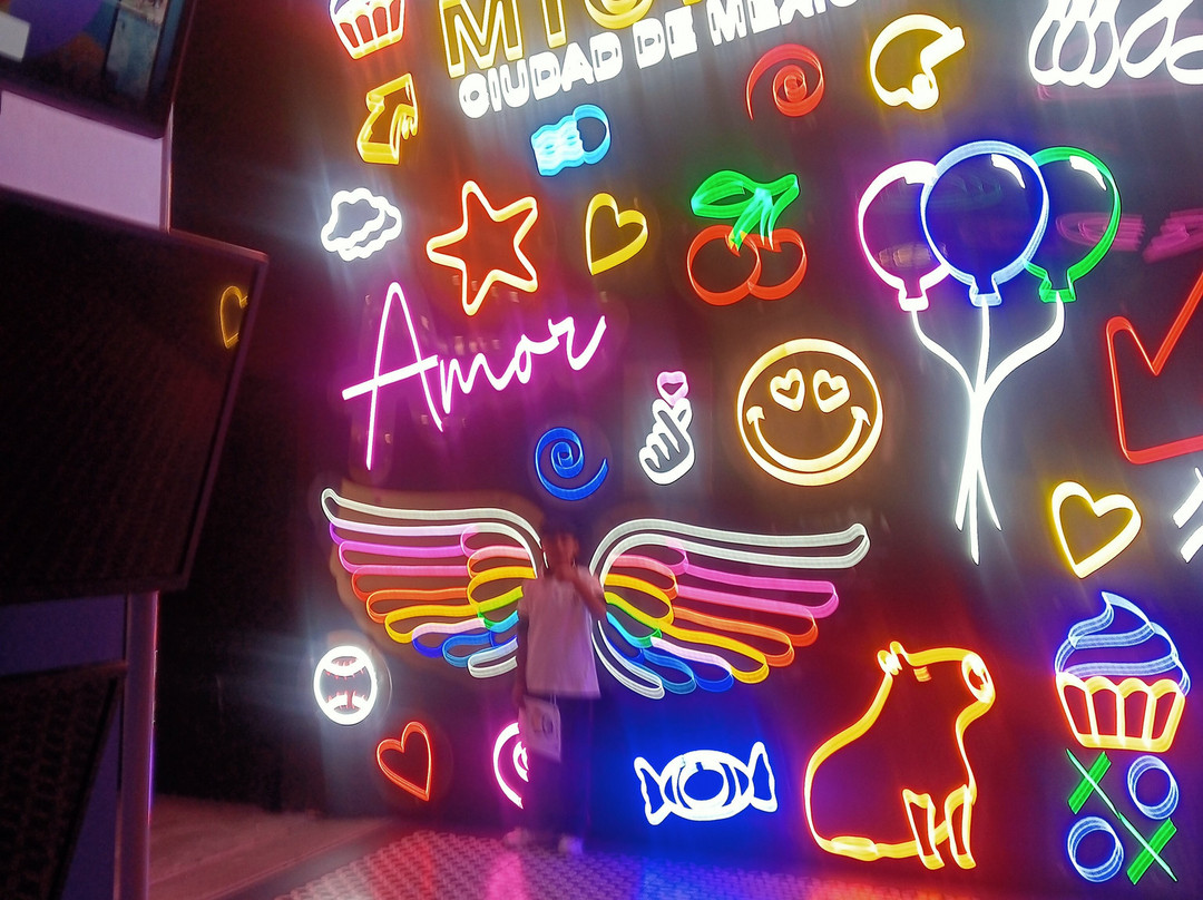 Acuario Michin Ciudad De Mexico-墨西哥城必去景点