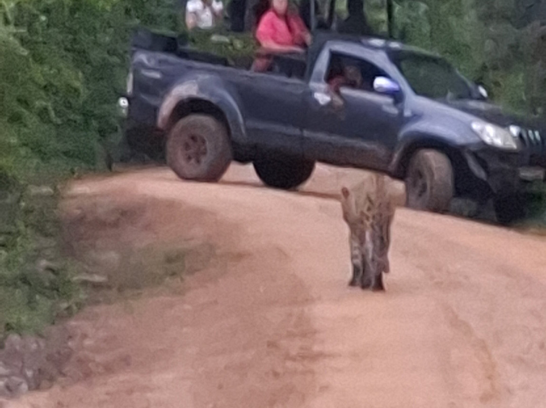 Geethmi Tours-亚洪加拉必去景点