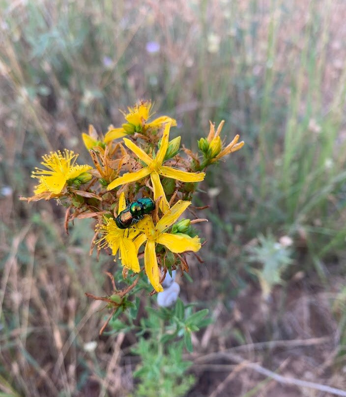 L'atelier Bota-Trets必去景点