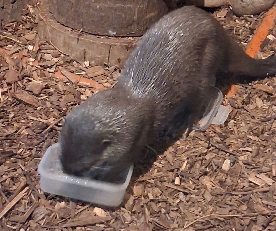 Oceanarium-伯恩茅斯必去景点