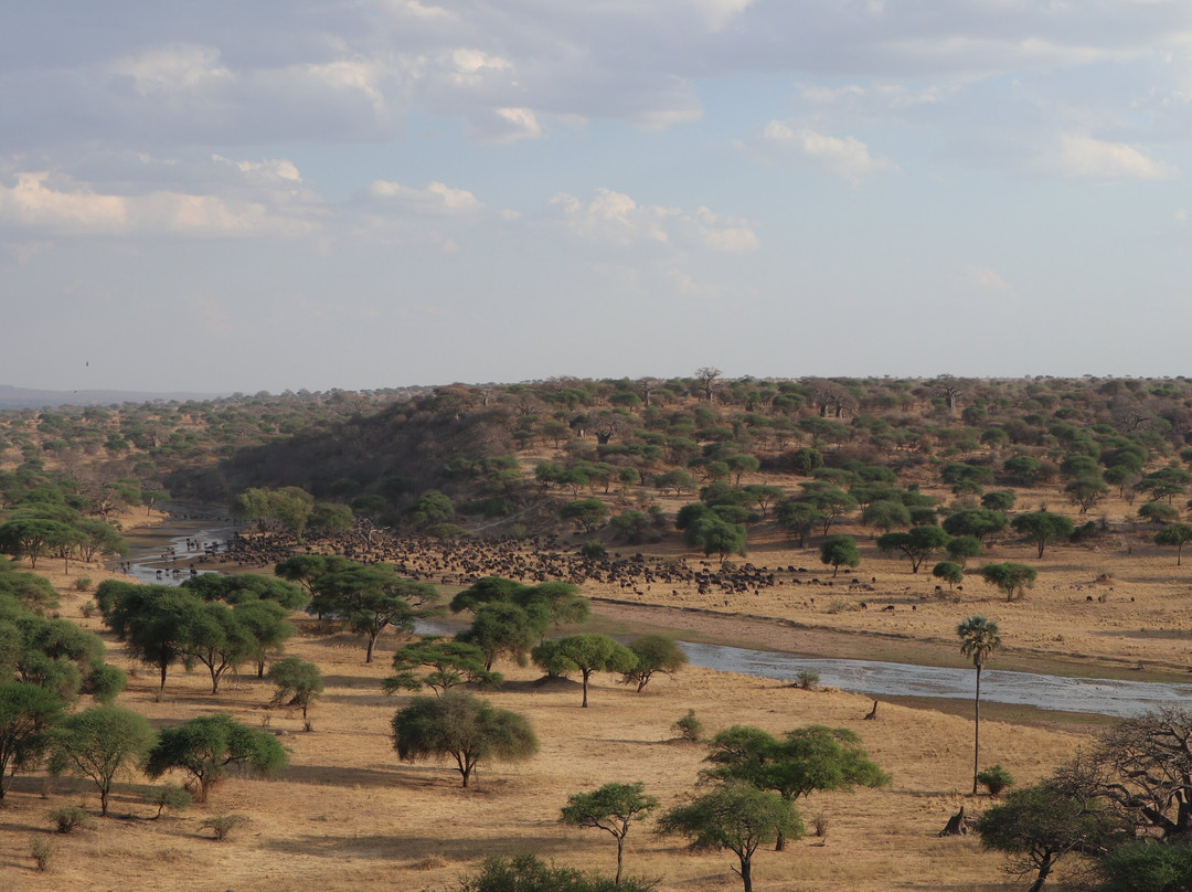 RA Safaris-阿鲁沙必去景点