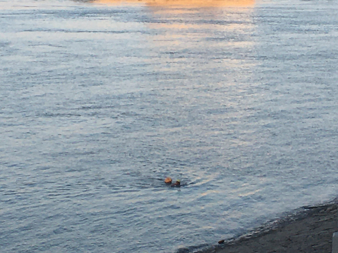 观音阁公园-鄂州市必去景点