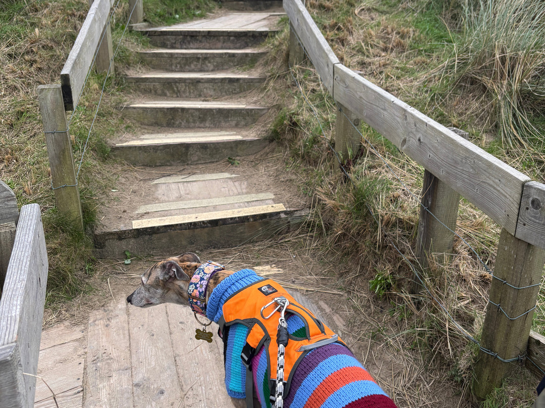 Ynyslas National Nature Reserve-Borth必去景点