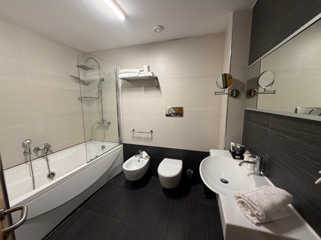 阿尔伯格阿尔费欧大酒店主图