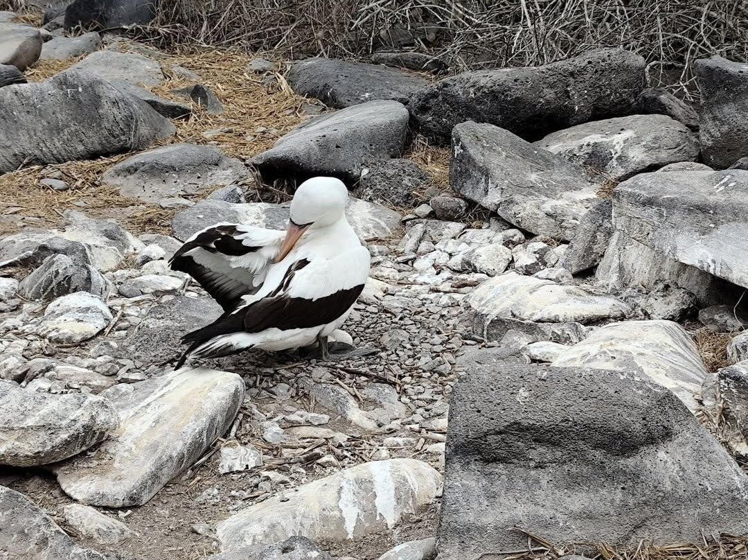Eco-Challenger Galapagos Tour Agency-圣克里斯托瓦尔必去景点