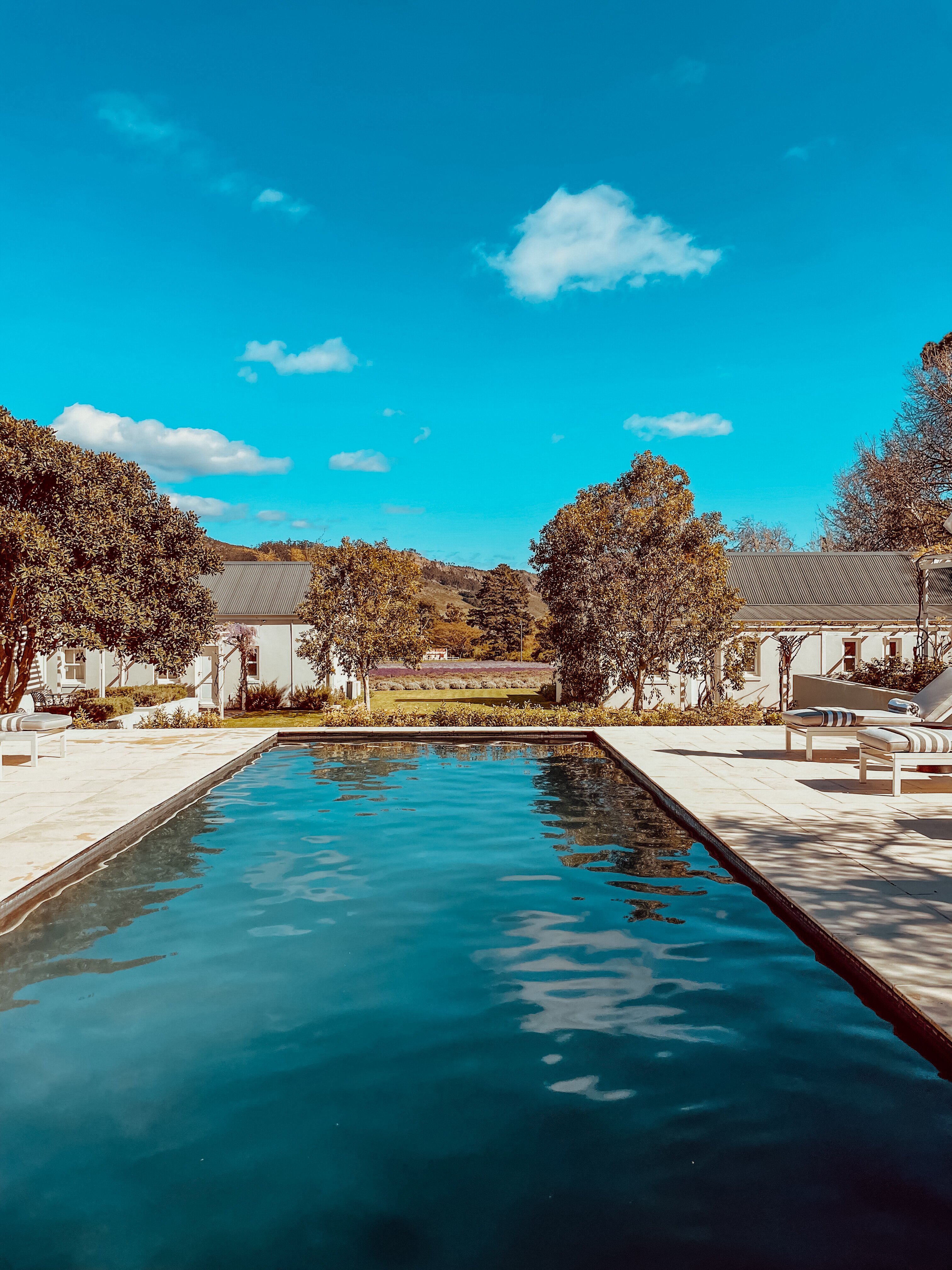 薰衣草农场旅馆-官方