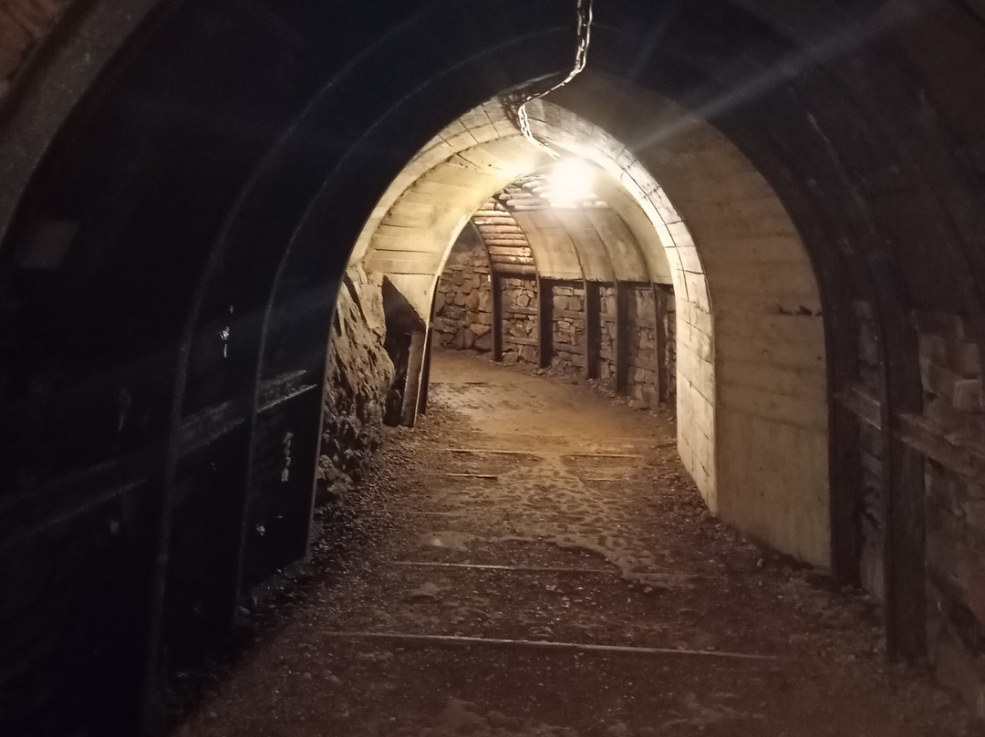 Erzgrube Büchenberg-Elbingerode必去景点