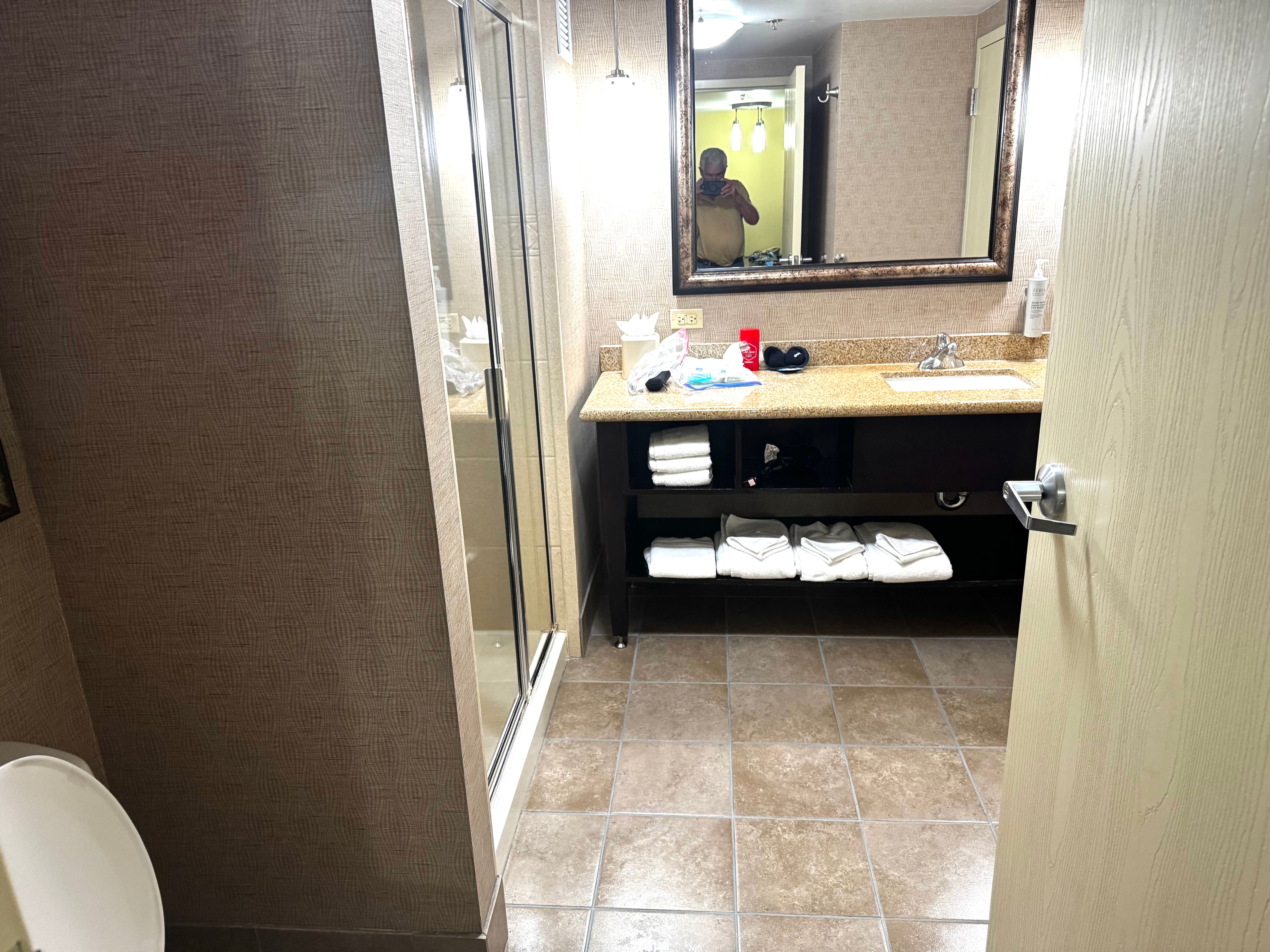 Embassy Suites by Hilton Minneapolis North-浴室