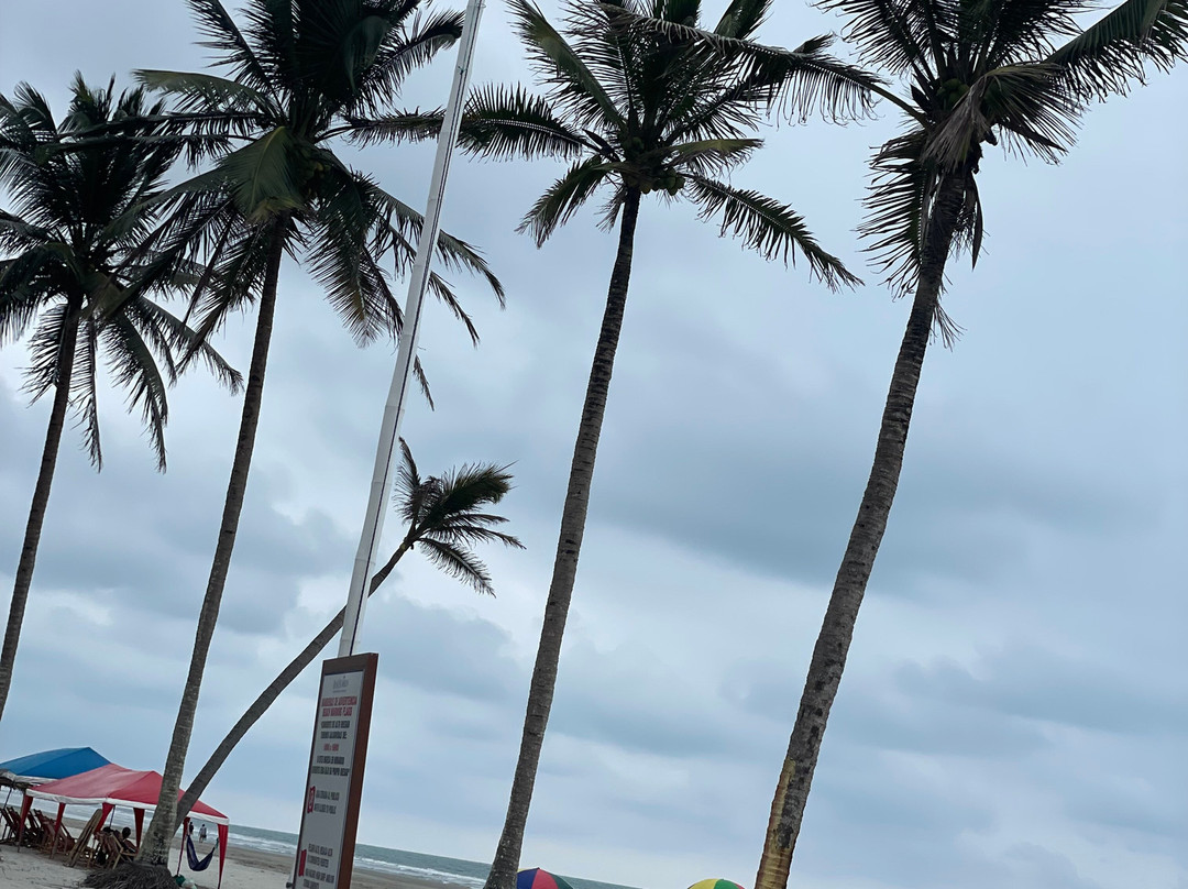 Royal Decameron Mompiche主图