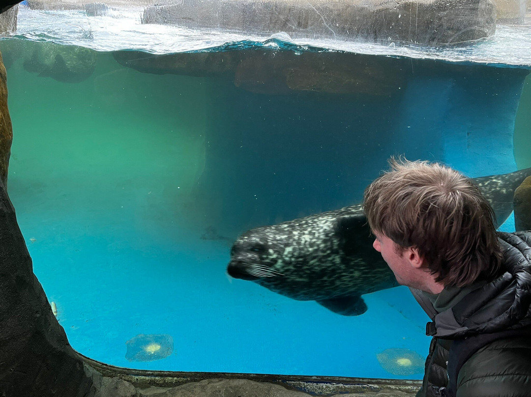Sea Life Scarborough-斯卡伯勒必去景点