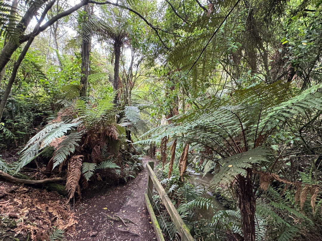 怀拉基天然温泉谷-陶波必去景点