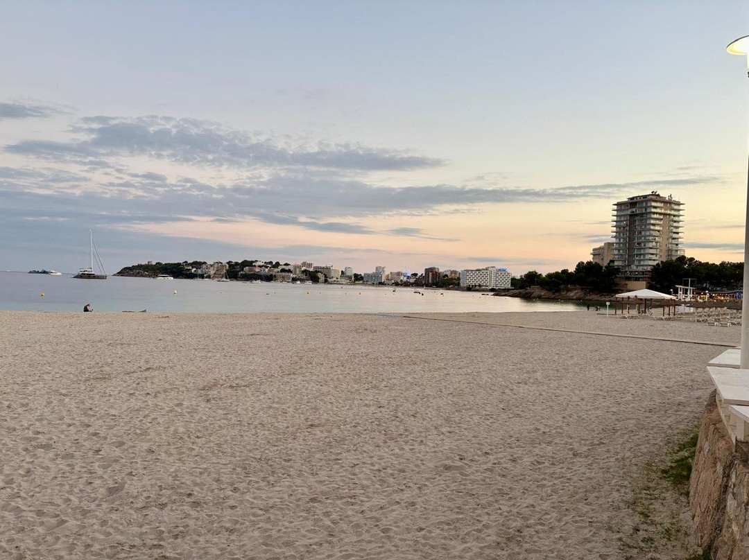 Palma Nova Beach-Palmanova必去景点