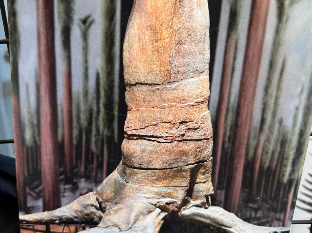 Stori Brymbo-雷克瑟姆必去景点