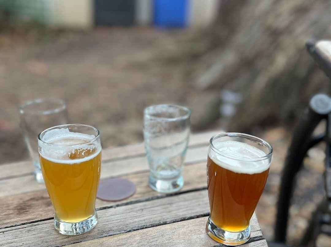 Hopkins Ordinary Ale Works-Sperryville必去景点