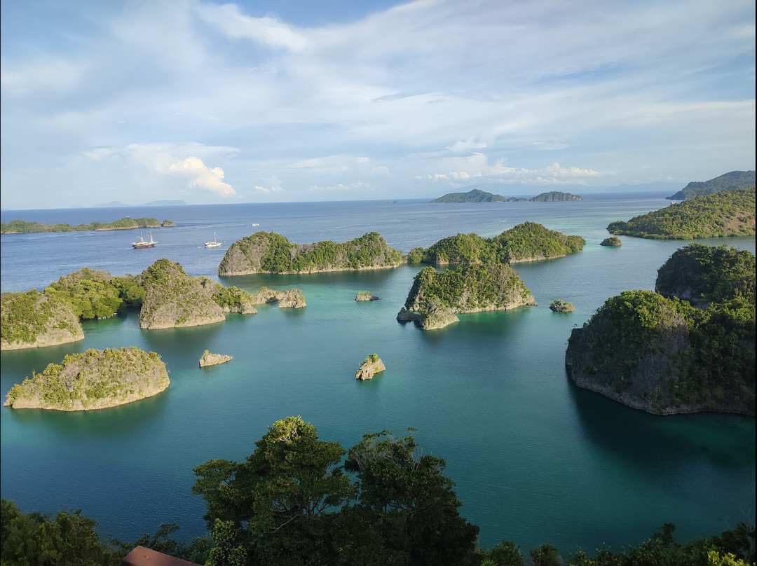 Cruising Raja Ampat - Wisesa Liveaboard-索龙必去景点