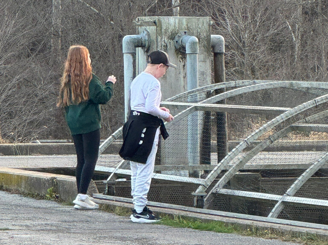 Shepherd of the Hills Fish Hatchery-布兰森必去景点