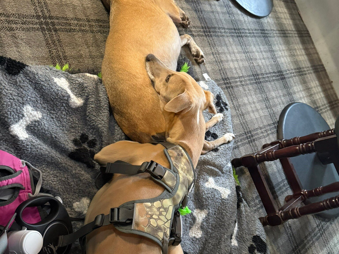 Schooner Inn-Seahouses必去景点