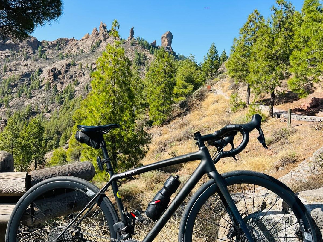 Rent Bike Playa Meloneras-Meloneras必去景点