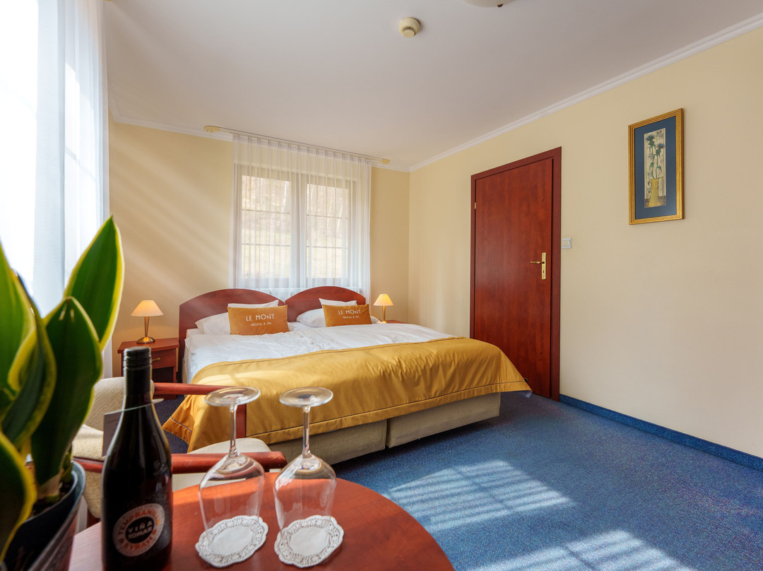 Le Mont Medical & SPA主图