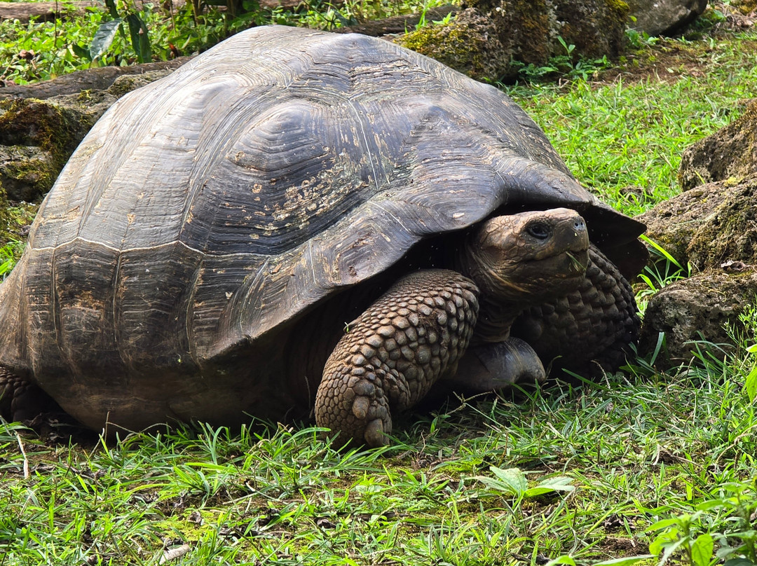 瑟米拉维尔德精品酒店主图