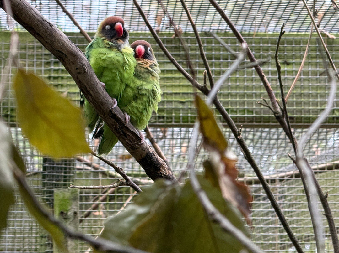 Shaldon Wildlife Trust-Shaldon必去景点