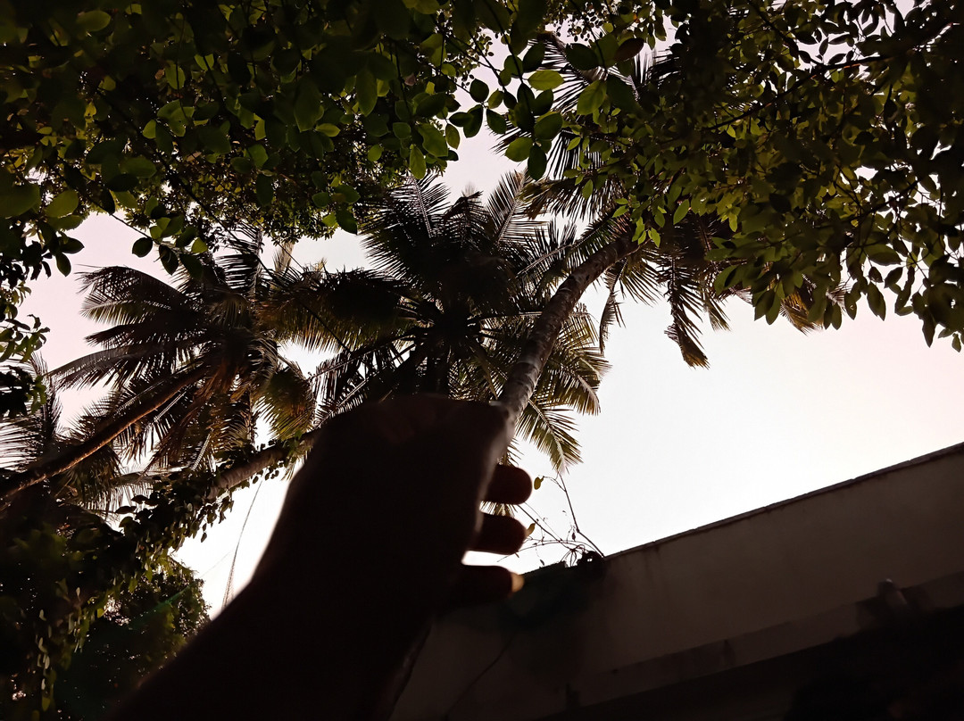 Bhatye Beach Resort