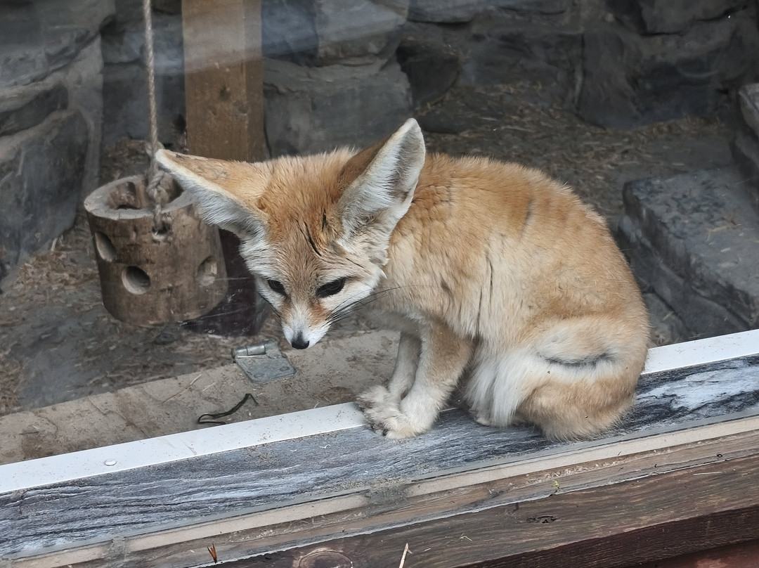 Exmoor Experience-Allerford必去景点
