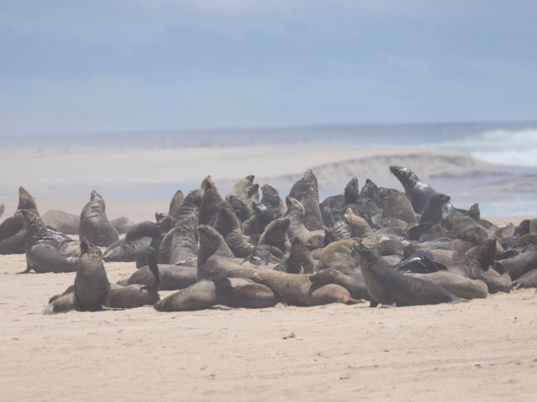 Karibu Safari-温德和克必去景点