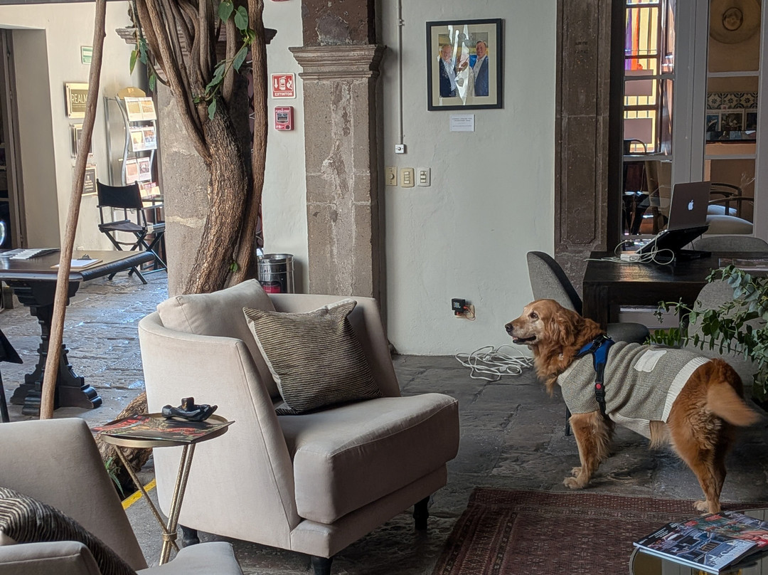 Sazon-圣米格尔护城必去景点