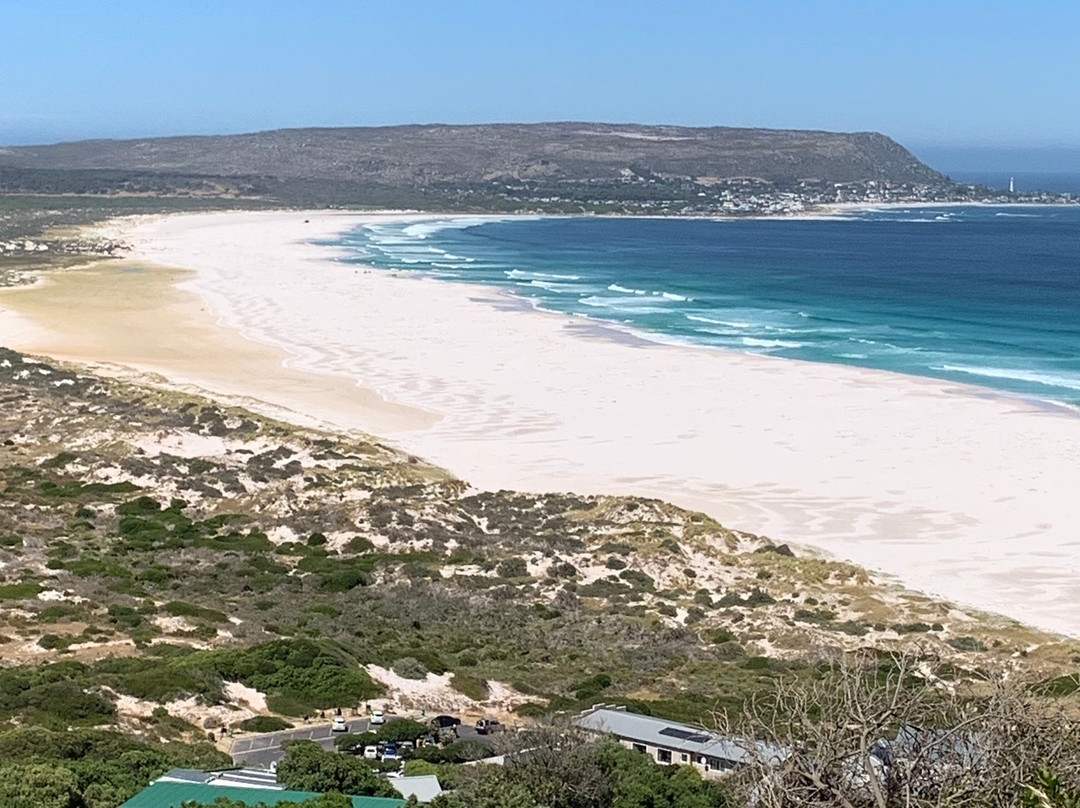 Explore the Cape Tours & Safaris-开普敦中心区必去景点