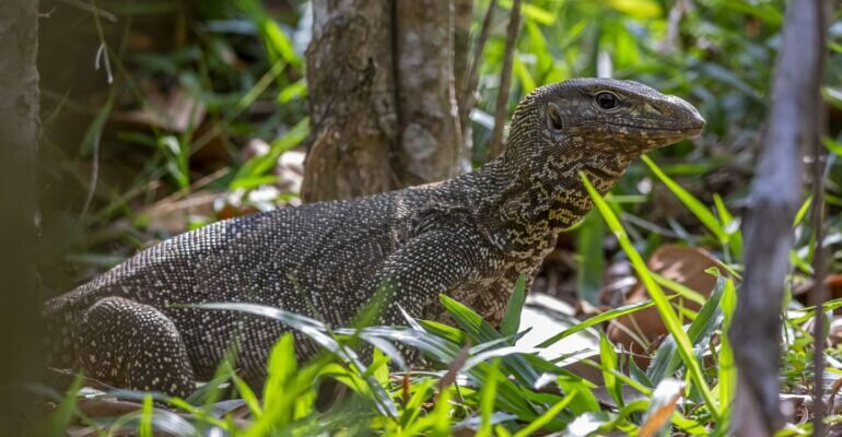 Ujung Kulon Trek-Carita必去景点