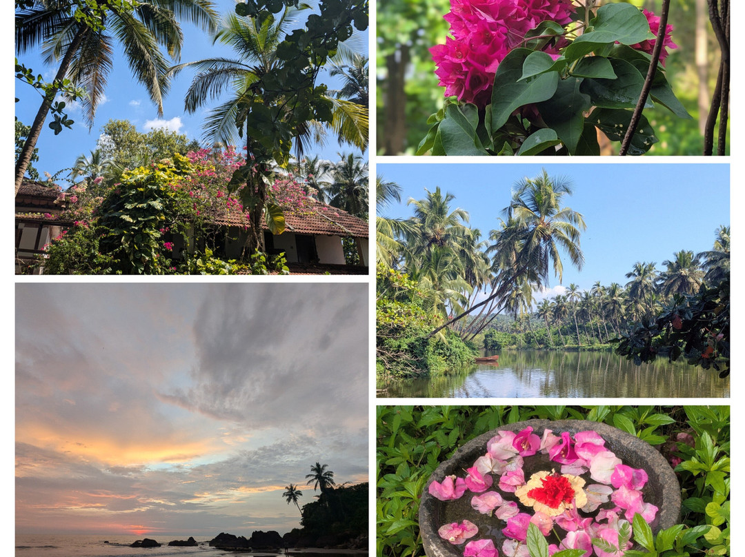 Kannur District酒店住宿-Kannur Beach House