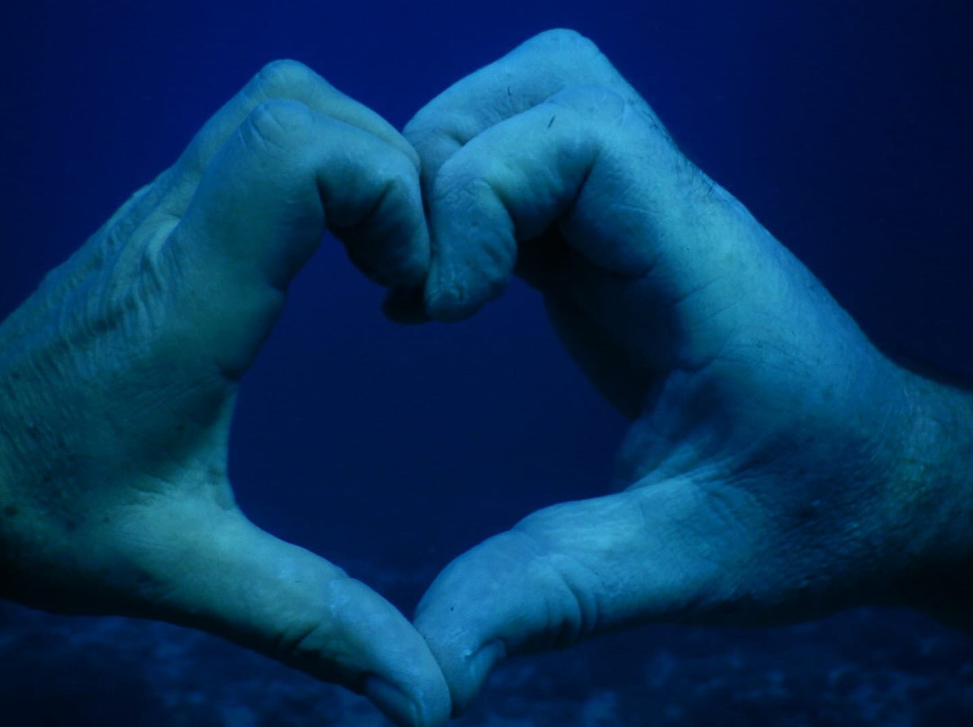 妈妈拍丝瓜岛维达海滩潜水中心-妈妈拍丝瓜岛必去景点