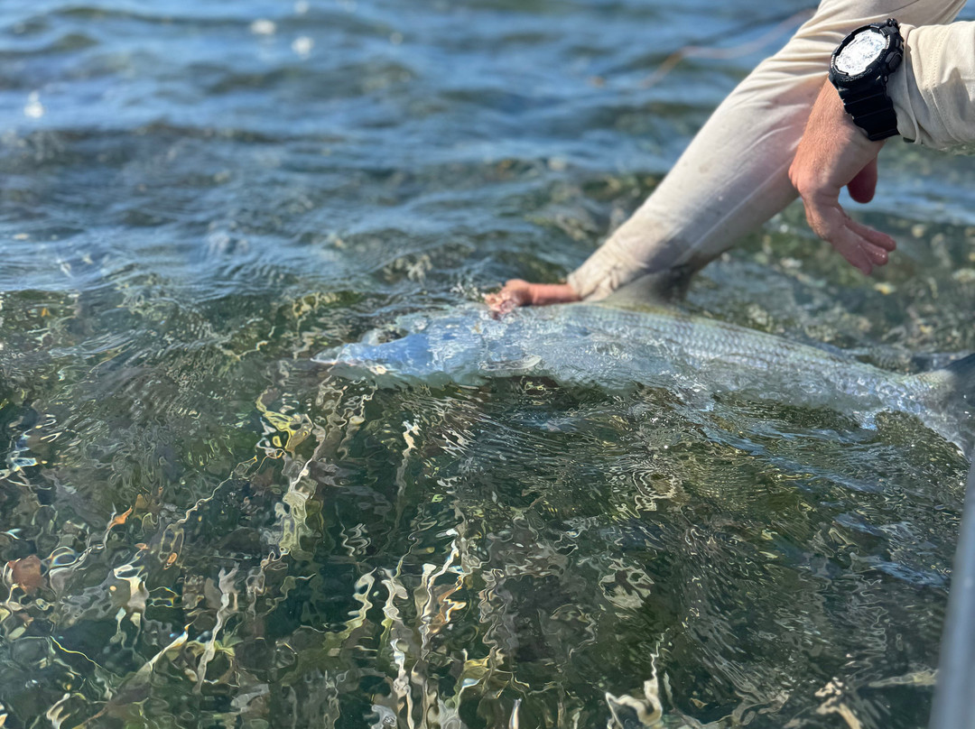 Flyin' High Charters-Big Pine Key必去景点