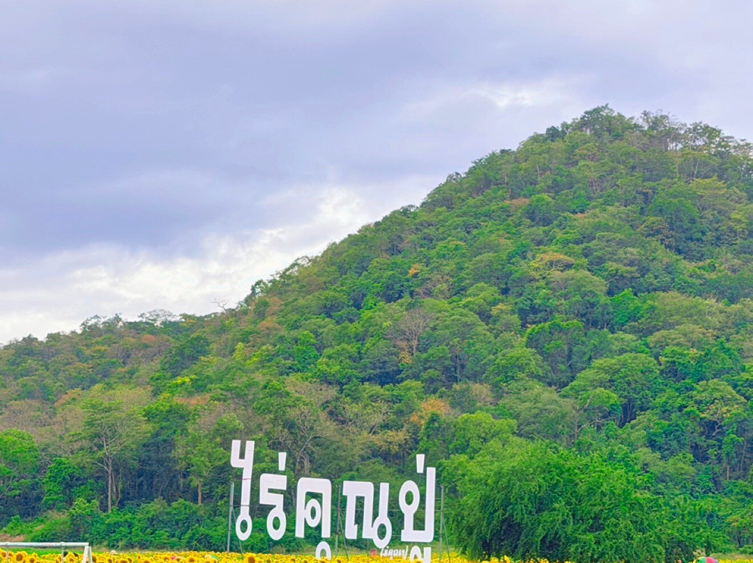 Sunflower Field-帕他那尼空必去景点