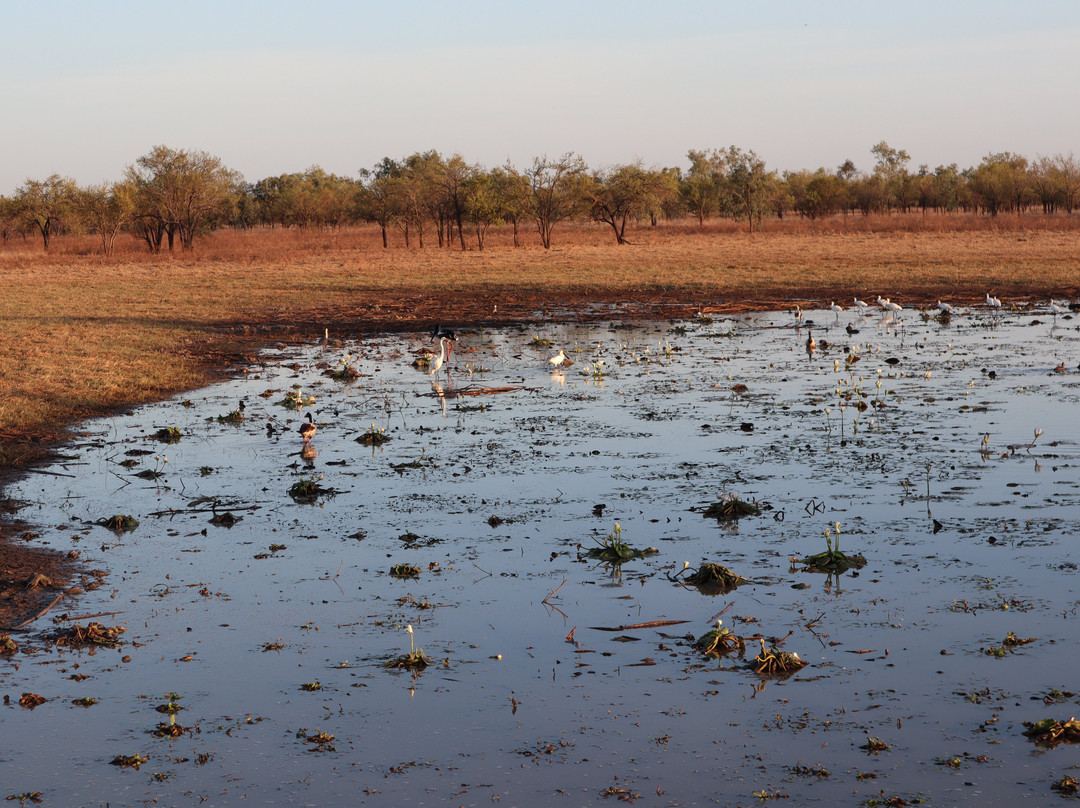 Tablelands Tours-凯恩斯必去景点