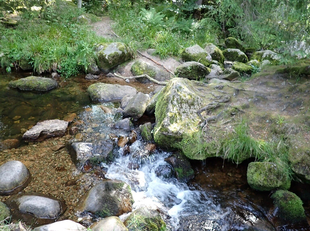 Menzenschwander Wasserfälle-Sankt Blasien必去景点