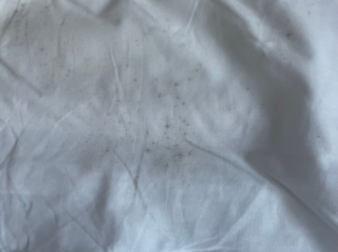 海岸驱车汽车旅馆主图