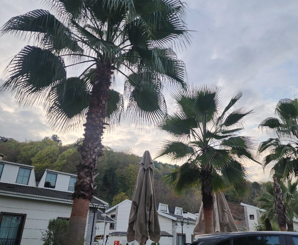 Alfa Suites & Spa主图