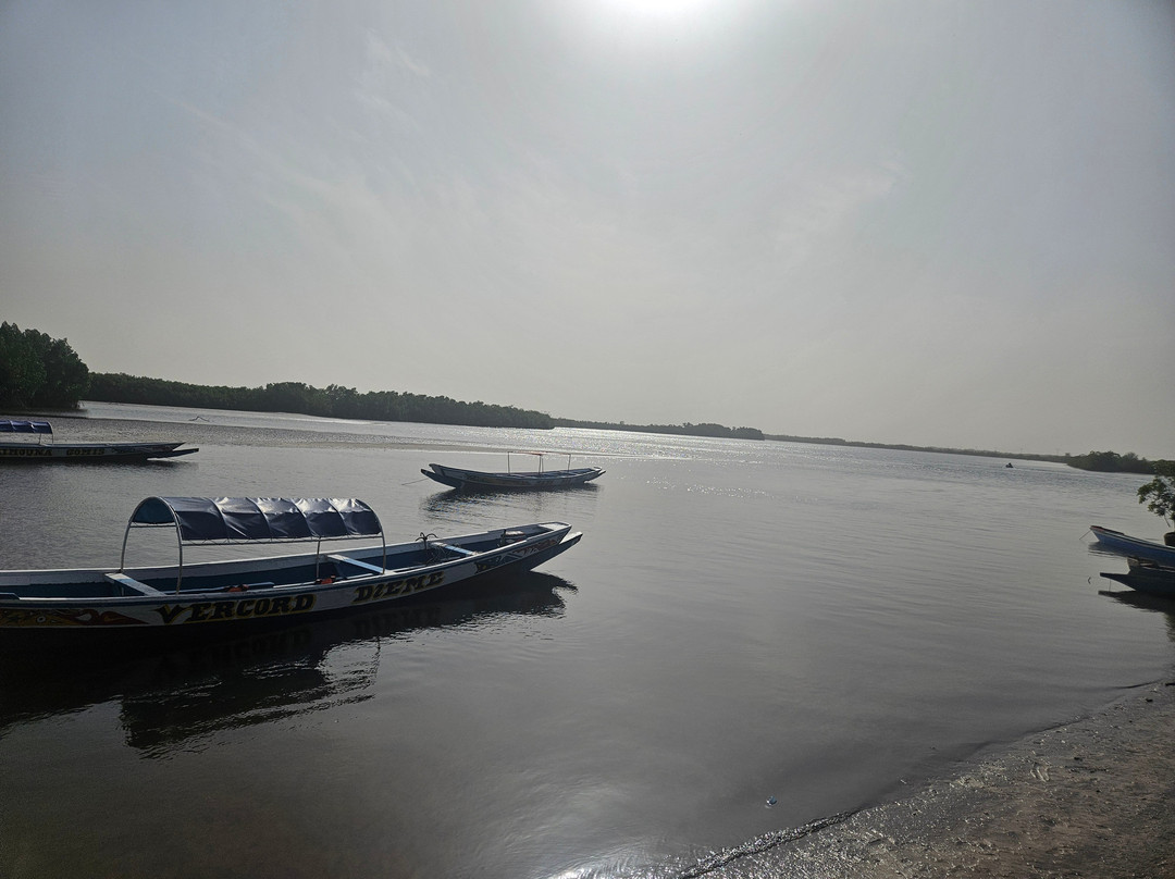 Ibou piroguier et guide touristique