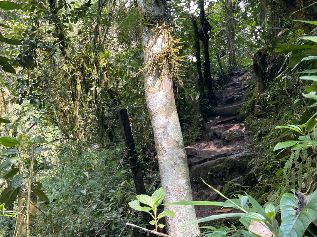 Cascada La Chorrera-Choachi必去景点