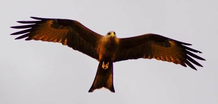 Tansania Reiseabenteuer SDL GmbH-柏林必去景点