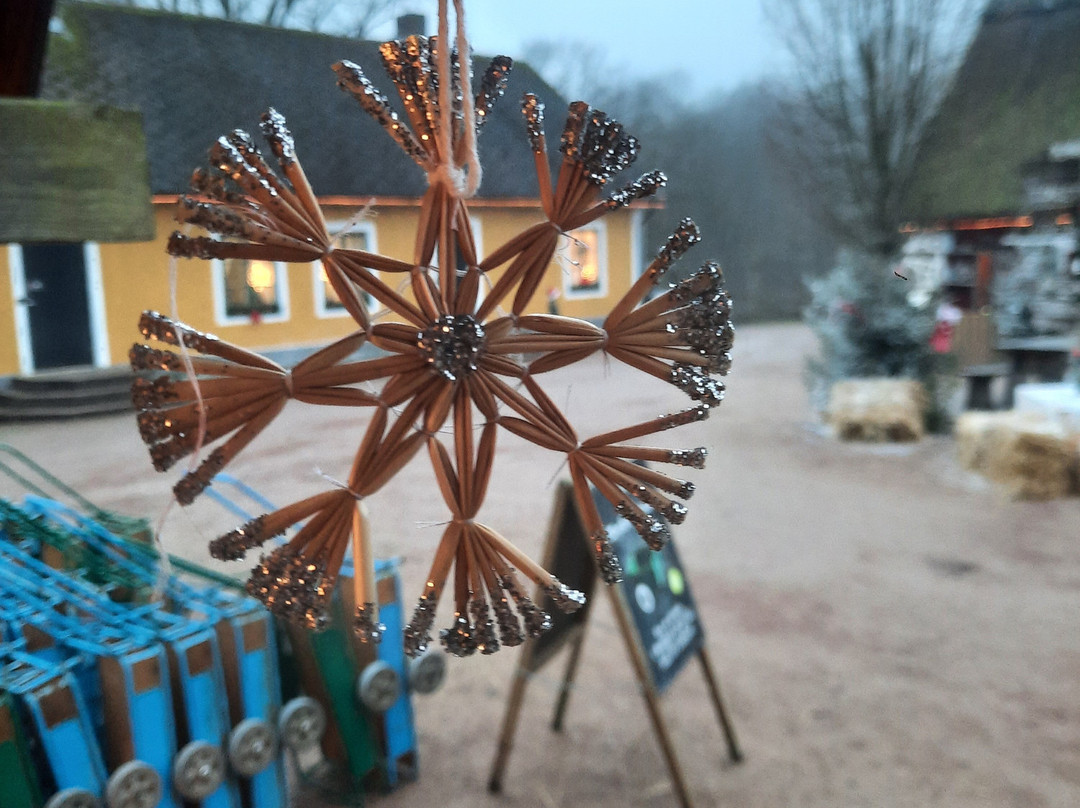 Skanes Djurpark-Hoor必去景点