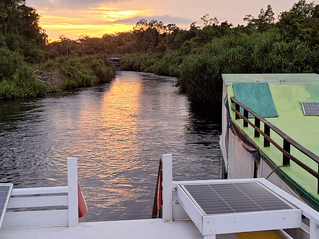 Local Guides - Tanjung Puting-Pangkalan Bun必去景点